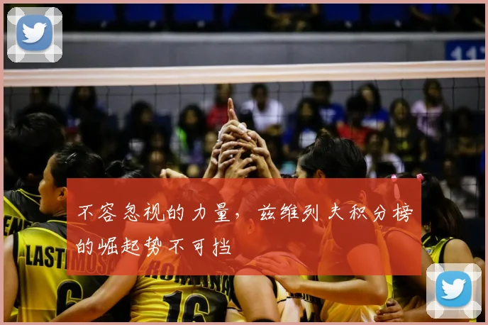 不容忽视的力量,兹维列夫积分榜的崛起势不可挡